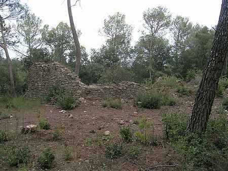 Ruina en venta situada en el Pla de l'Estany. - 1