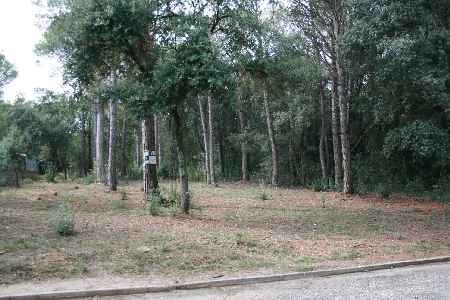 Terreny urba situat a Maià de Montcal. - 0
