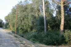 Terreno urbananizable, situado en el Molí d'en Llorens, en Maià de Montcal.