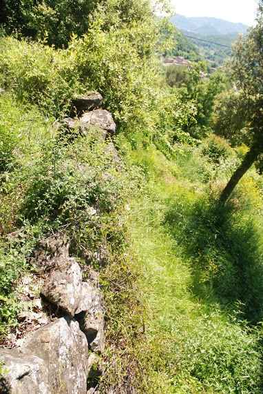 Ruined property for restoration located in Vall de Bach. - 5