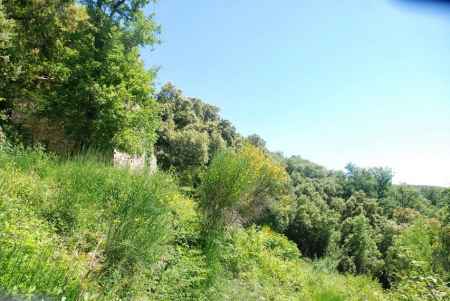 Ruined property for restoration located in Vall de Bach. - 6