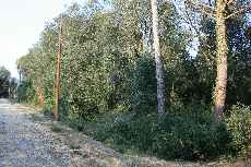 OPORTUNITAT! Tres parcel·les de 450m2, situades a Maià de Montcal.