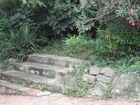 Autentica masia de 2.000m2, situada en la Garrotxa. - 4