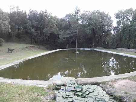 Magnífica finca ubicada a 10 minutos de Olot. - 35