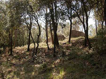 Ruina en venta situada en el Pla de l'Estany. - 0