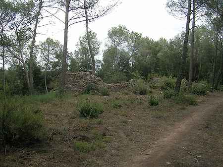 Ruined property for sale located in Pla de l'Estany. - 2