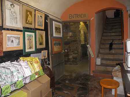 Townhouse located in the old town of Besalú. - 10
