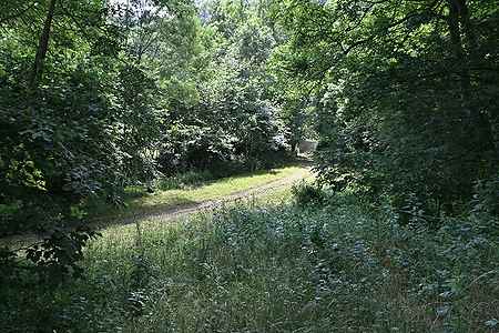 Ruined property for sale located in Ripolles. - 10
