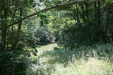 Ruined property for sale located in Ripolles. - 9