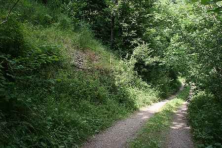 Ruined property for sale located in Ripolles. - 8