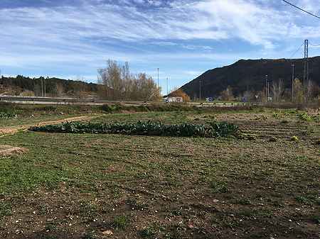 Townhouse for restoration located in La Garrotxa. - 11