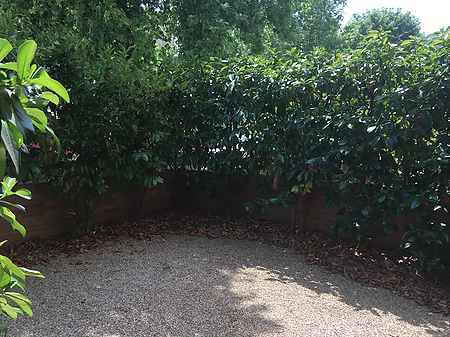 Pis de lloguer a Besalú, &quot;de segona residencia&quot; - 7