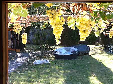 Magnificent estate for sale located in La Garrotxa. - 25