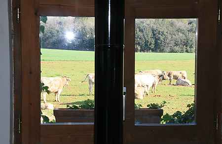 Magnificent estate for sale located in La Garrotxa. - 28
