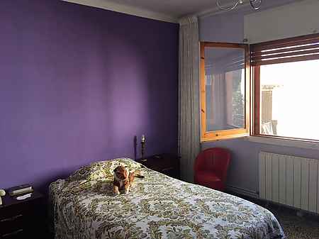 Casa de planta baixa situada a Besalú. - 10