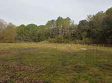 Rustic land for sale, located in Pla de l'Estany.