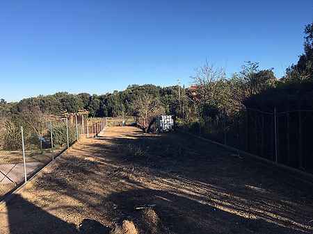 Rental house located in Pla de l'Estany. - 15