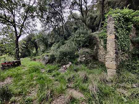 Ruïna per restaruar situada a la Vall del Bach. - 8