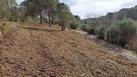 Terreno rústico, situado en Rabós d'Empordà. - 7