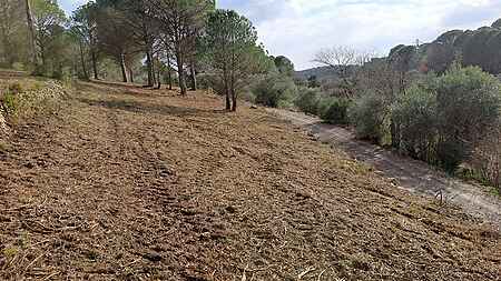 Terreny situat a Rabós d'Empordà. - 7