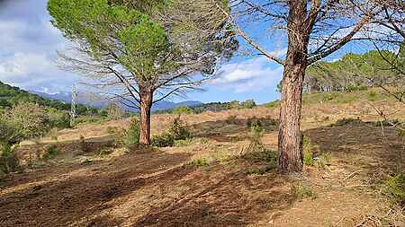 Terreny situat a Rabós d'Empordà. - 2