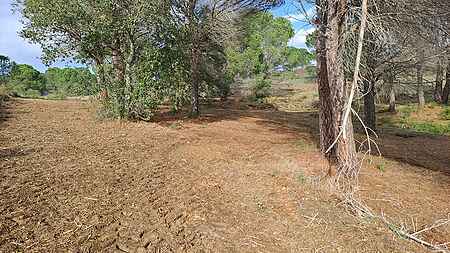 Rustic plot located in Rabós d'Empordà. - 5