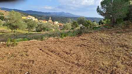 Terreny situat a Rabós d'Empordà. - 0