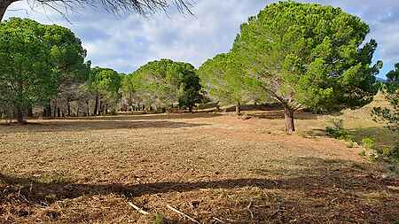 Terreny situat a Rabós d'Empordà. - 1