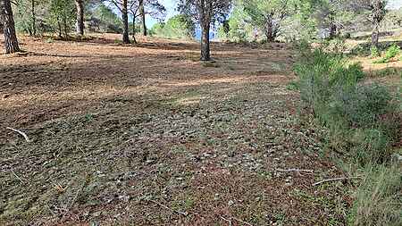 Terreno rústico, situado en Rabós d'Empordà. - 3