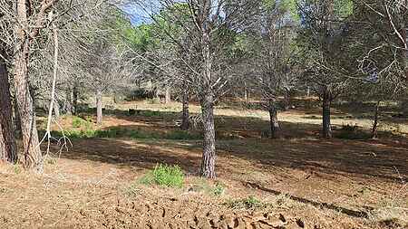 Terreno rústico, situado en Rabós d'Empordà. - 4