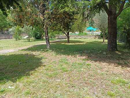House of 403m2 with garden, orchard, and options for two homes and/or business. - 23