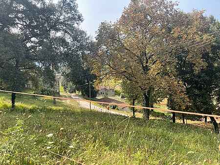 Magnifico terreno edificable, situado en la Vall d'en Bas. - 6