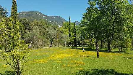 Magnífica finca en venta, situada en la Garrotxa. - 1