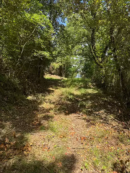 Ruïna en venda, situada al Pla de l'Estany. - 1
