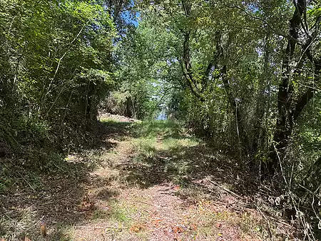 Ruïna en venda, situada al Pla de l'Estany. - 0