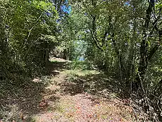 Ruïna en venda, situada al Pla de l'Estany.