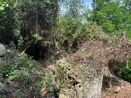 Ruïna en venda, situada al Pla de l'Estany. - 3