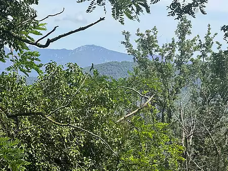 Ruïna en venda, situada al Pla de l'Estany. - 8