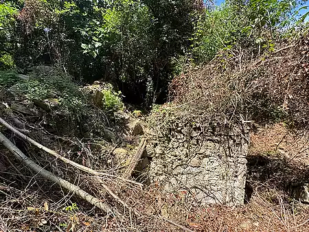 Ruïna en venda, situada al Pla de l'Estany. - 2