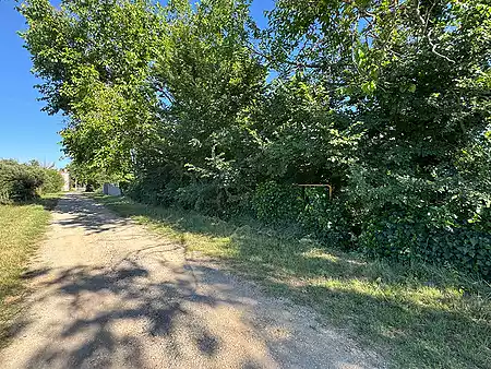 Parcel·la en venda, situada a la zona del Molí d'en Llorens. - 0