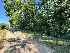 Parcel·la en venda, situada a la zona del Molí d'en Llorens.