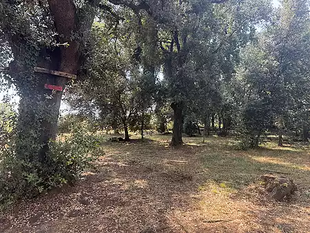 Charming country house set in a peaceful and natural environment, just five minutes from the village. - 20