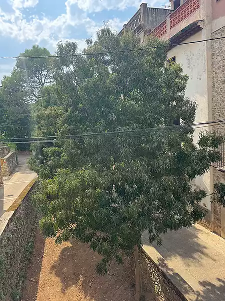 Casa de poble per restaurar, situada a Crespià. - 9
