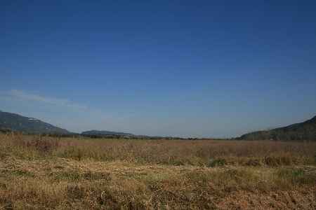 Masia semi-restaurada amb annexes de pedra a la Garrotxa. - 6