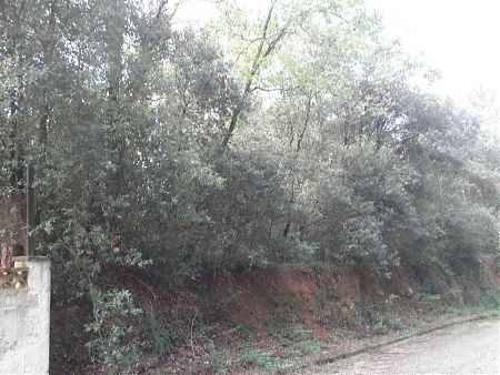 Land for sale in the &quot;Moli d'en Llorens&quot; urbanization. - 0