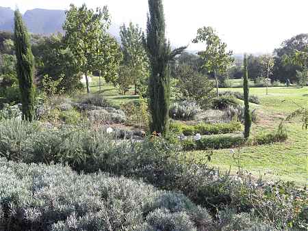Fantastic single-story house with a 7,860 m² plot. - 4