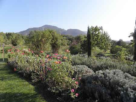 Fantastic single-story house with a 7,860 m² plot. - 5