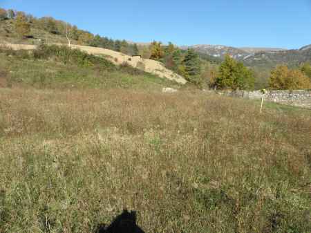 Antic molí en venda, situat al Ripollés. - 15