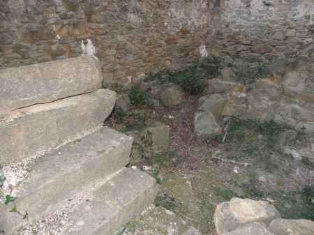 Ruina para restaurar, situada en la zona de Palol de Revardit. - 4